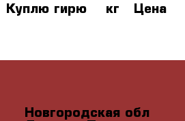 Куплю гирю 16 кг › Цена ­ 500 - Новгородская обл. Другое » Продам   